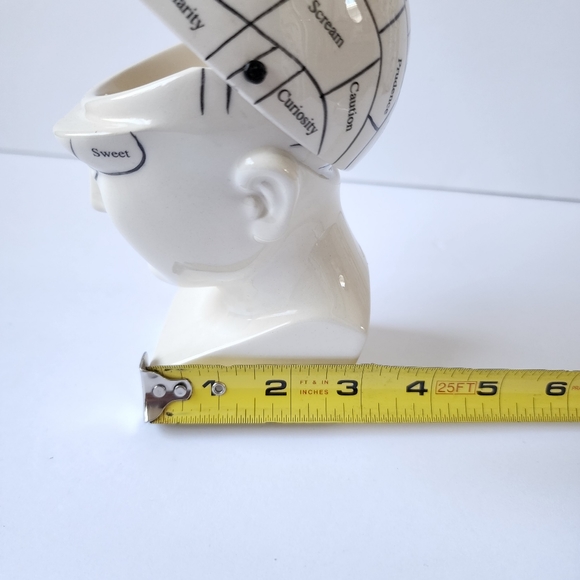 Phrenology Head ceramic porcelain medical terms decor - Picture 8 of 9